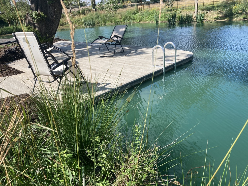Curved jetty with ladder for wild swimming in a pond